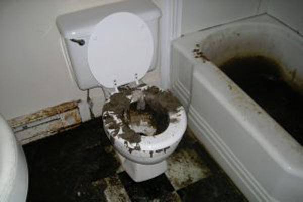 raw sewage bathroom sink drain